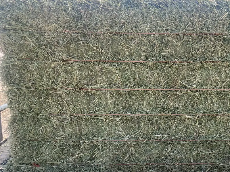 Costado de una paca de alfalfa atada con hileras de alambre.